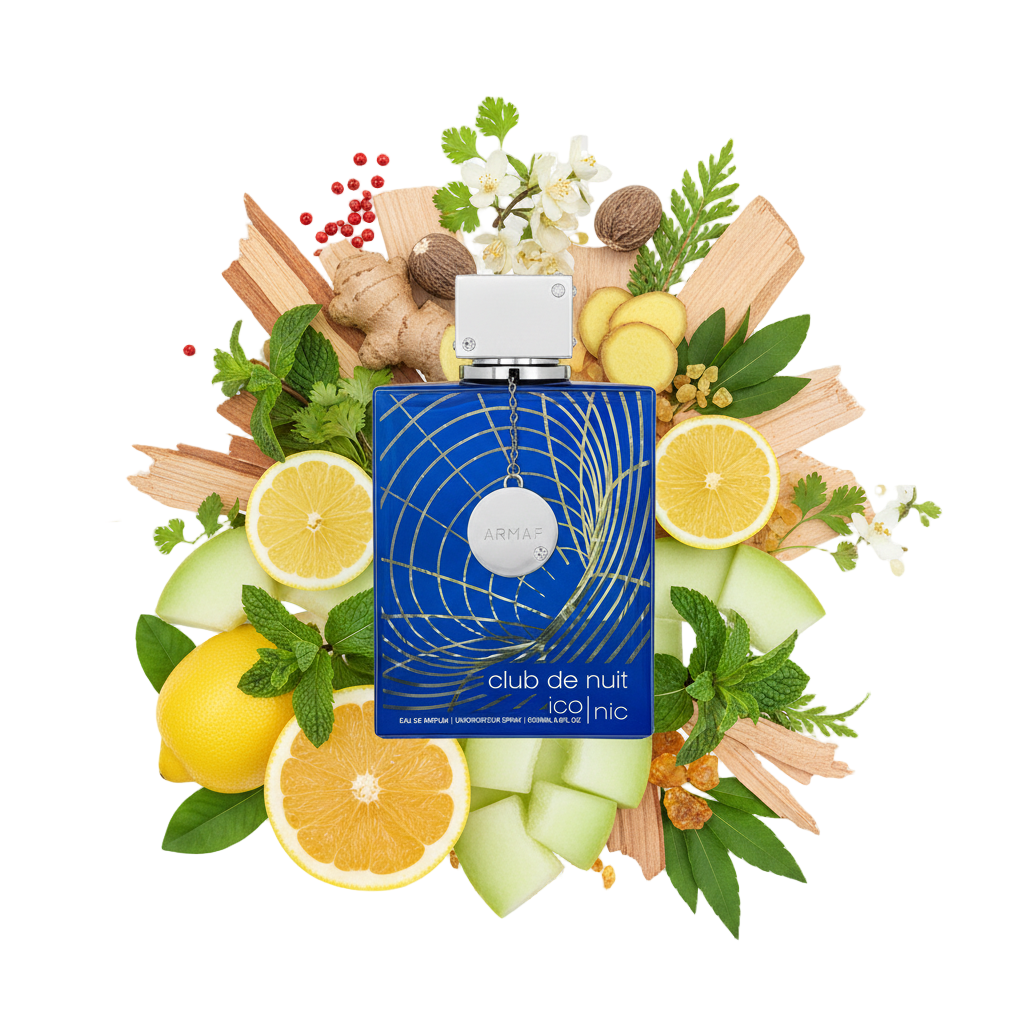 Armaf Club de Nuit Blue Iconic 105 ml — flakon perfum z wizualizacją nut (cytrusy i drewno)